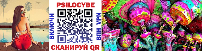 Псилоцибиновые грибы Psilocybe  Александров 