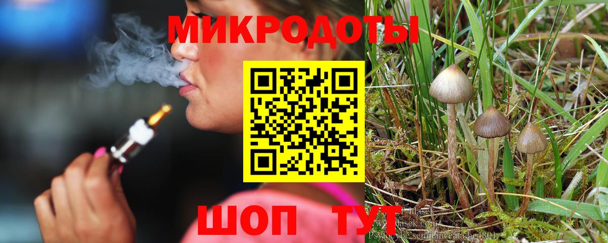 Александров  Псилоцибиновые грибы Psilocybine cubensis  Псилоцибиновые грибы мухоморы  Вход с VPN 
