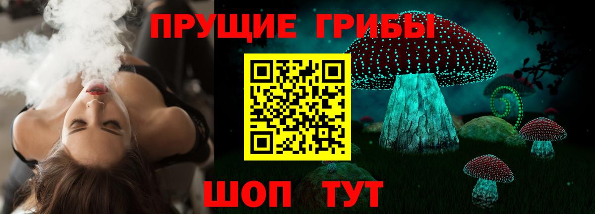 Галлюциногенные грибы мицелий Александров