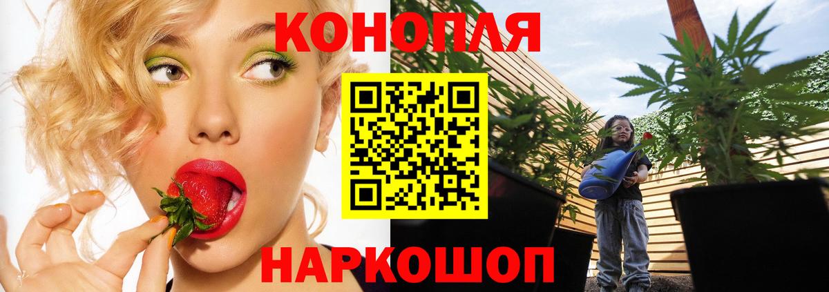 Александров  Бошки Шишки ГИДРОПОН  Канабис VHQ  Вход с VPN  Бошки Шишки VHQ 